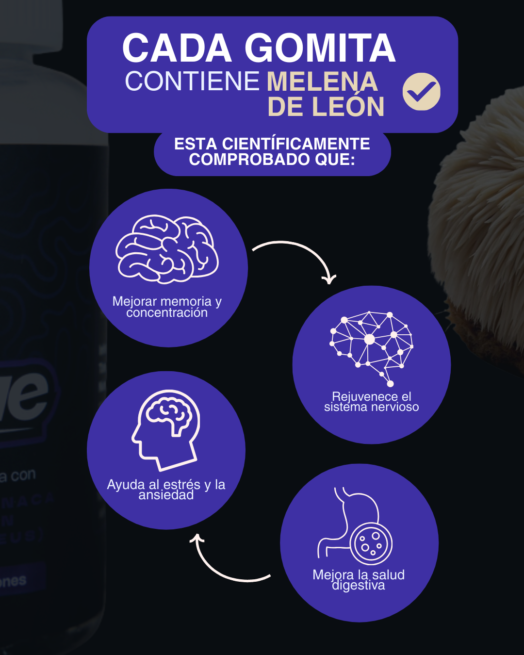 Gomas Masticables con Melena de León